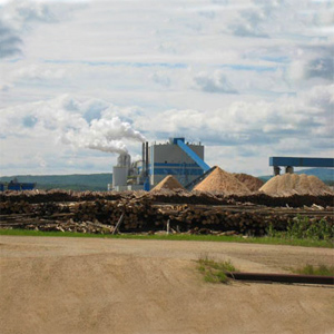 2-industry-pulp-and-paper