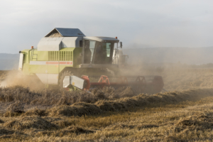 Combine harvester covered in dust at work harvesting grain in a field