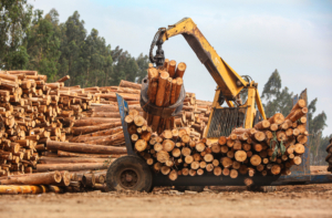A grabber machine is used to load logs in a forestry plantation