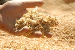 Handful of sawdust over a sawdust background