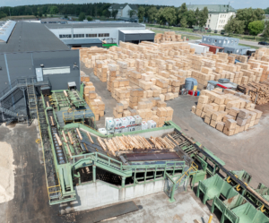 Wood sawmill, machinery for processing wood. Processing plant. A worker operating loader, modern wood processing factory, load freshly cut logs onto the production line for processing, manufacturing.