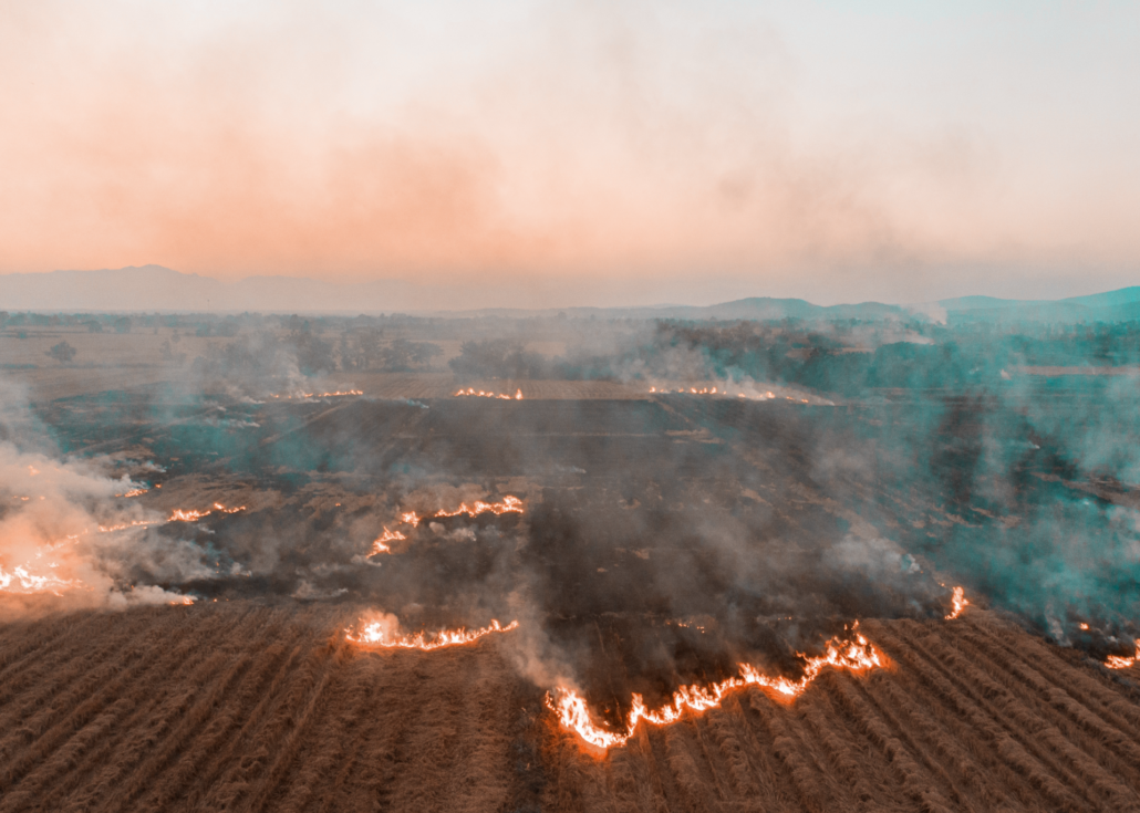 WUI Wildland Brush Fire Protection