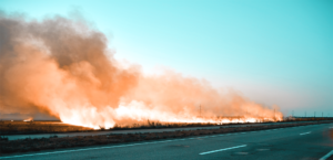 Wildland Fire Protection